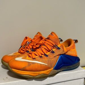 Lebron 12 Low Shoes